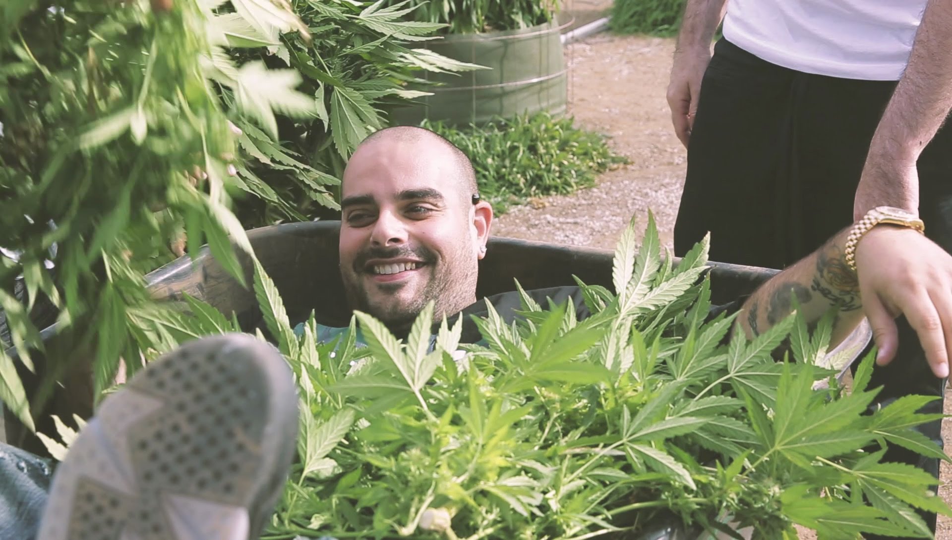 Marijuana Mania Episode 1 With Berner